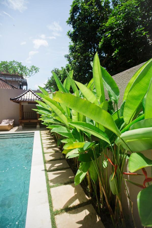 Bed and Breakfast Donguri House Bali Jimbaran Exterior foto